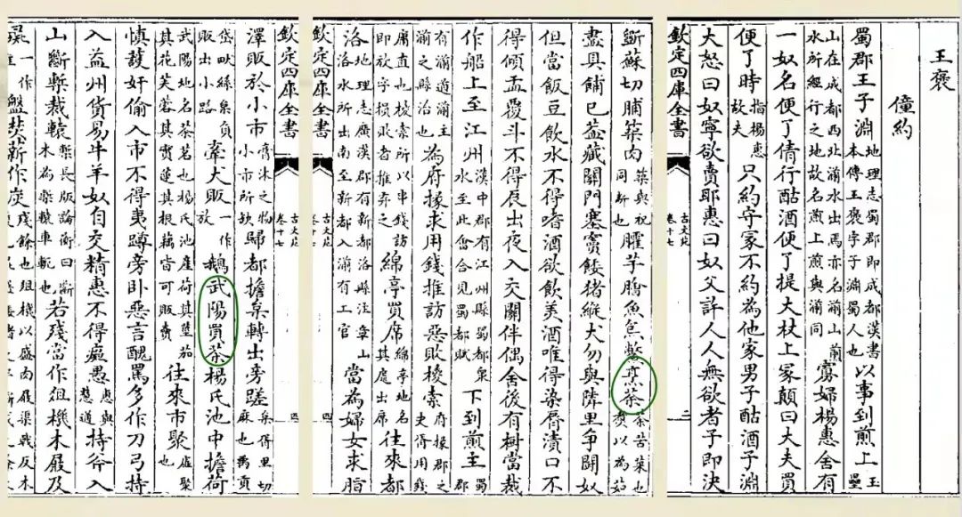 茶是什么意思,茶是什么颜色