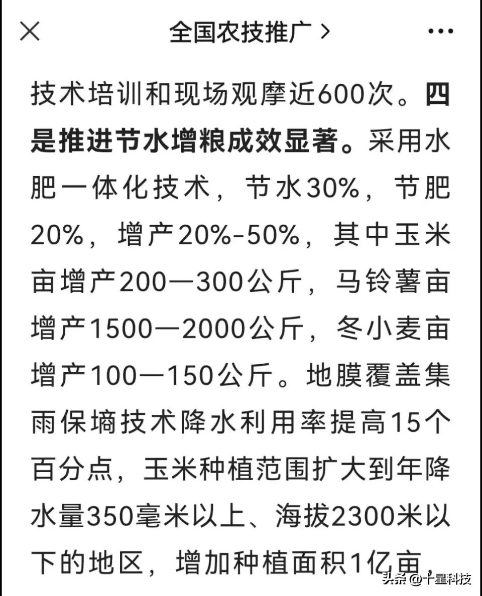 夏玉米“白夹红”,为了“安保丰”,为创“吨粮丰”