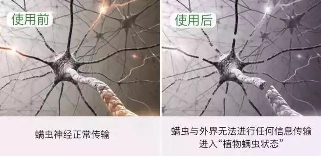 家庭祛除螨虫的有效方法是什么,家里有螨虫用什么东西除螨好