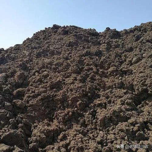 卖羊粪挣十万,卖羊粪一年利润