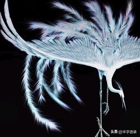 山海经异兽录排名大全,山海经异兽图片九尾狐