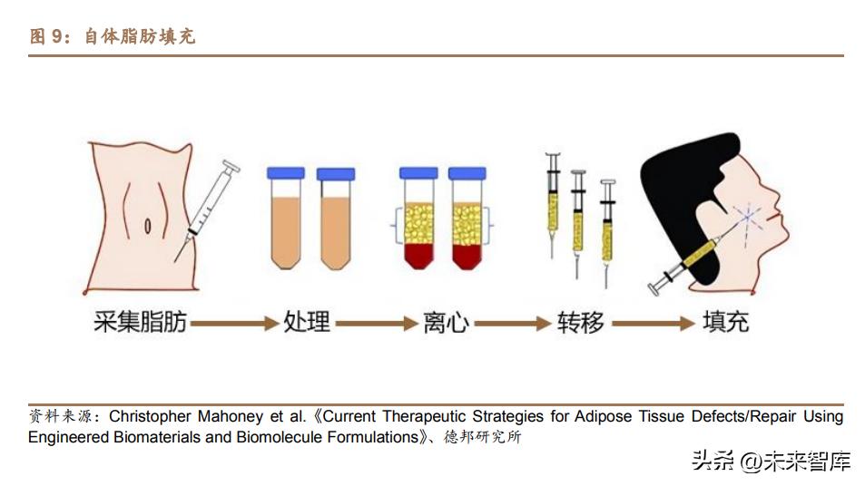 医美行业深度研究,医美瘦身行业