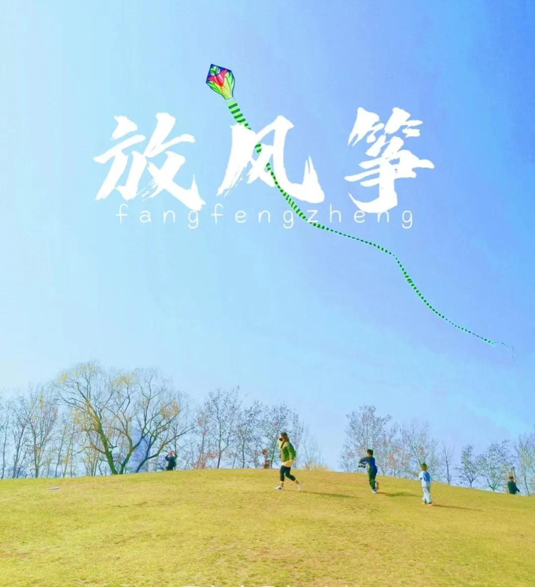 郊外放纸鸢,清明踏青放纸鸢