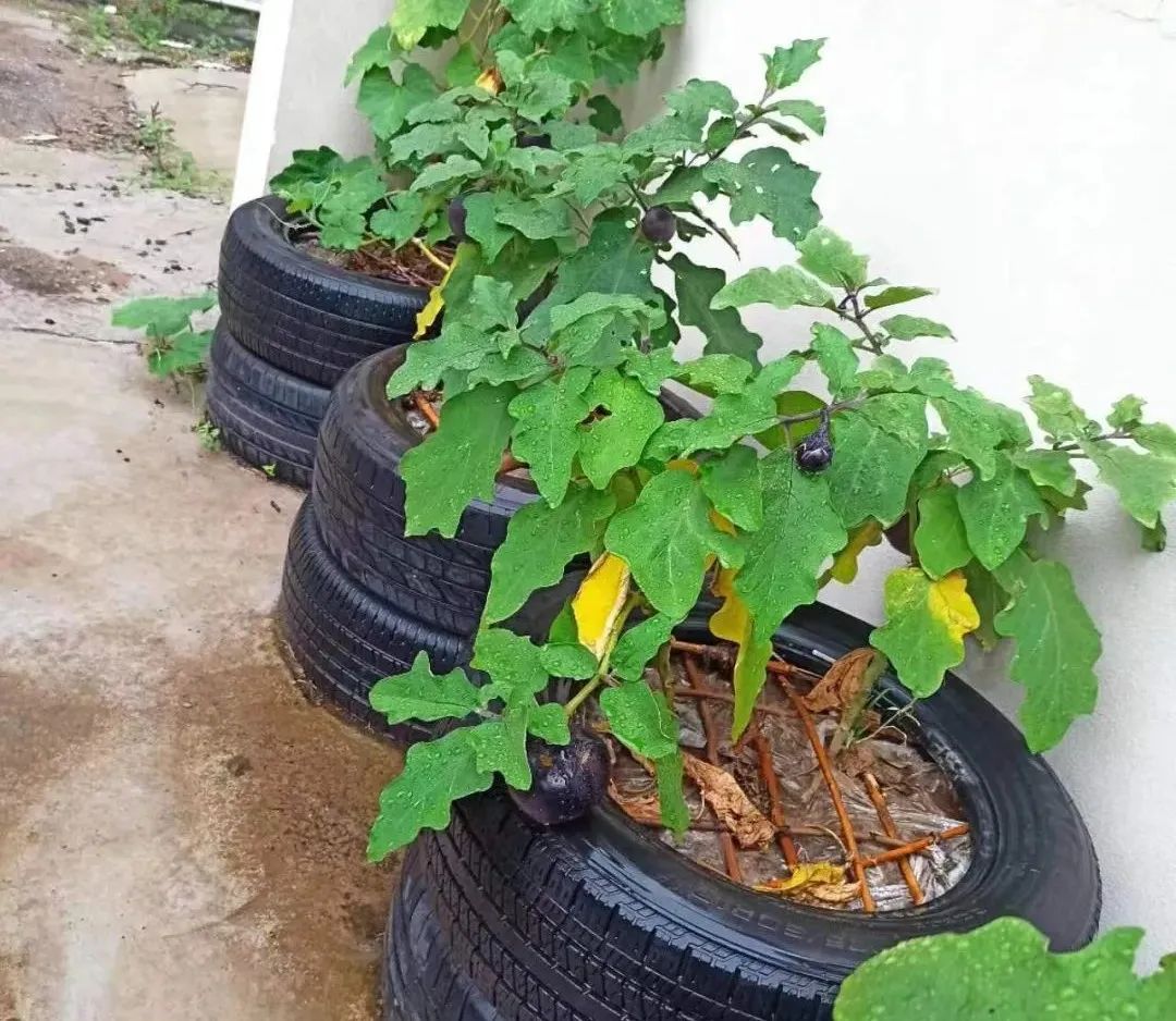 揭秘！派出所的“镇所之宝”