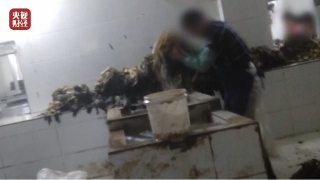 脚踩土坑酸菜？厕所风味粉条？315照妖镜这次又照出了谁？