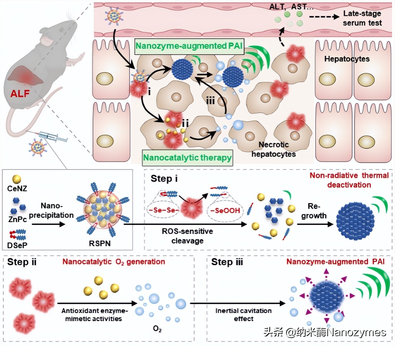 李方园课题组纳米酶研究新进展