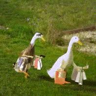 表情包美女拿东西,花钱买表情包的女生