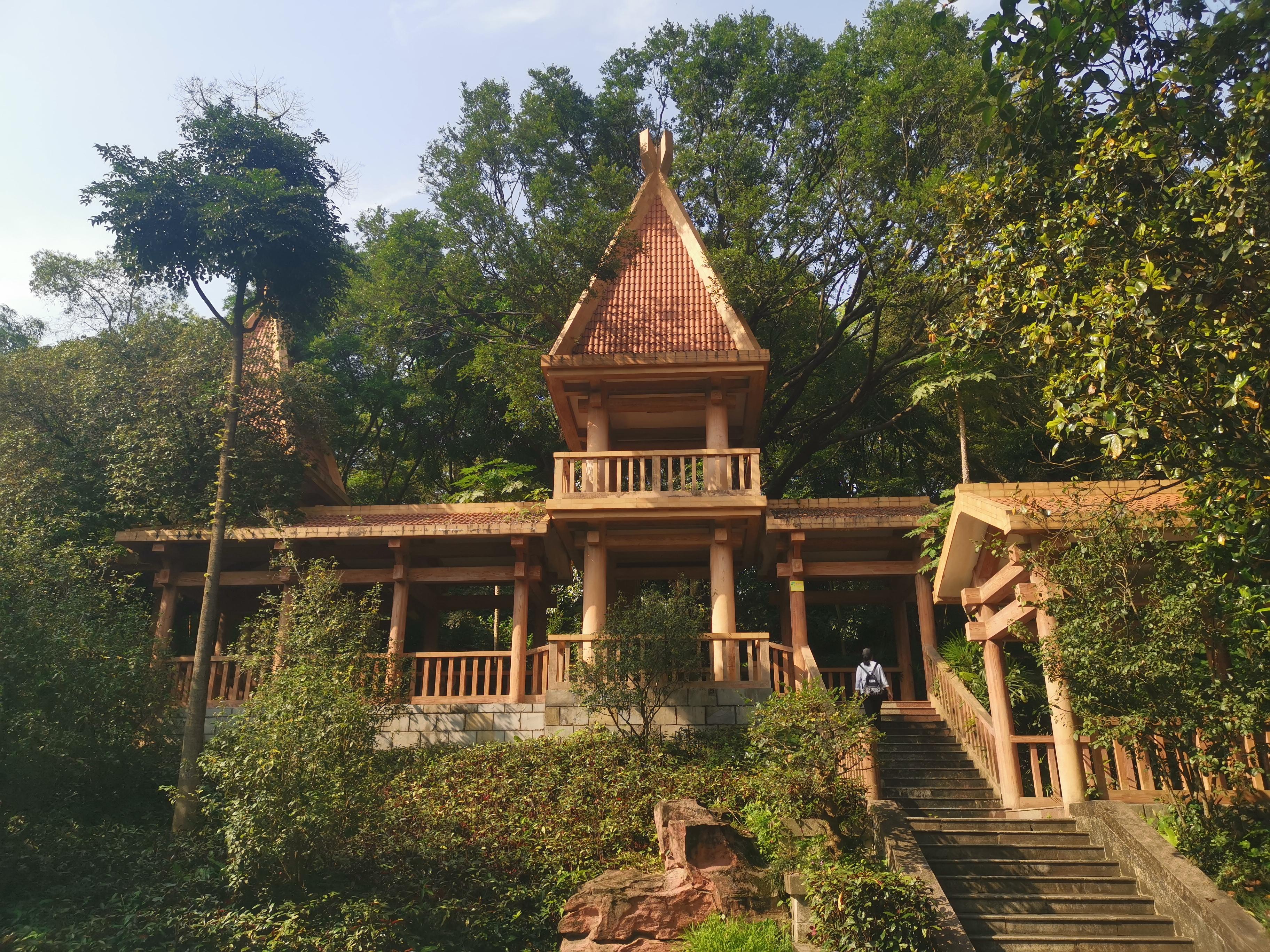 大夫山一日游自由行,大夫山一日游周记