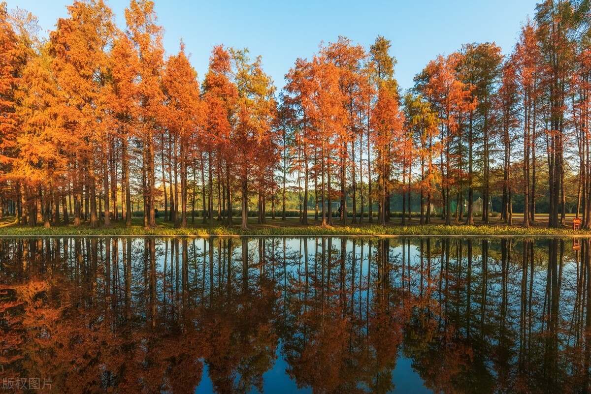 上海最新免费游玩景点推荐,上海旅游必去的五个免费景点