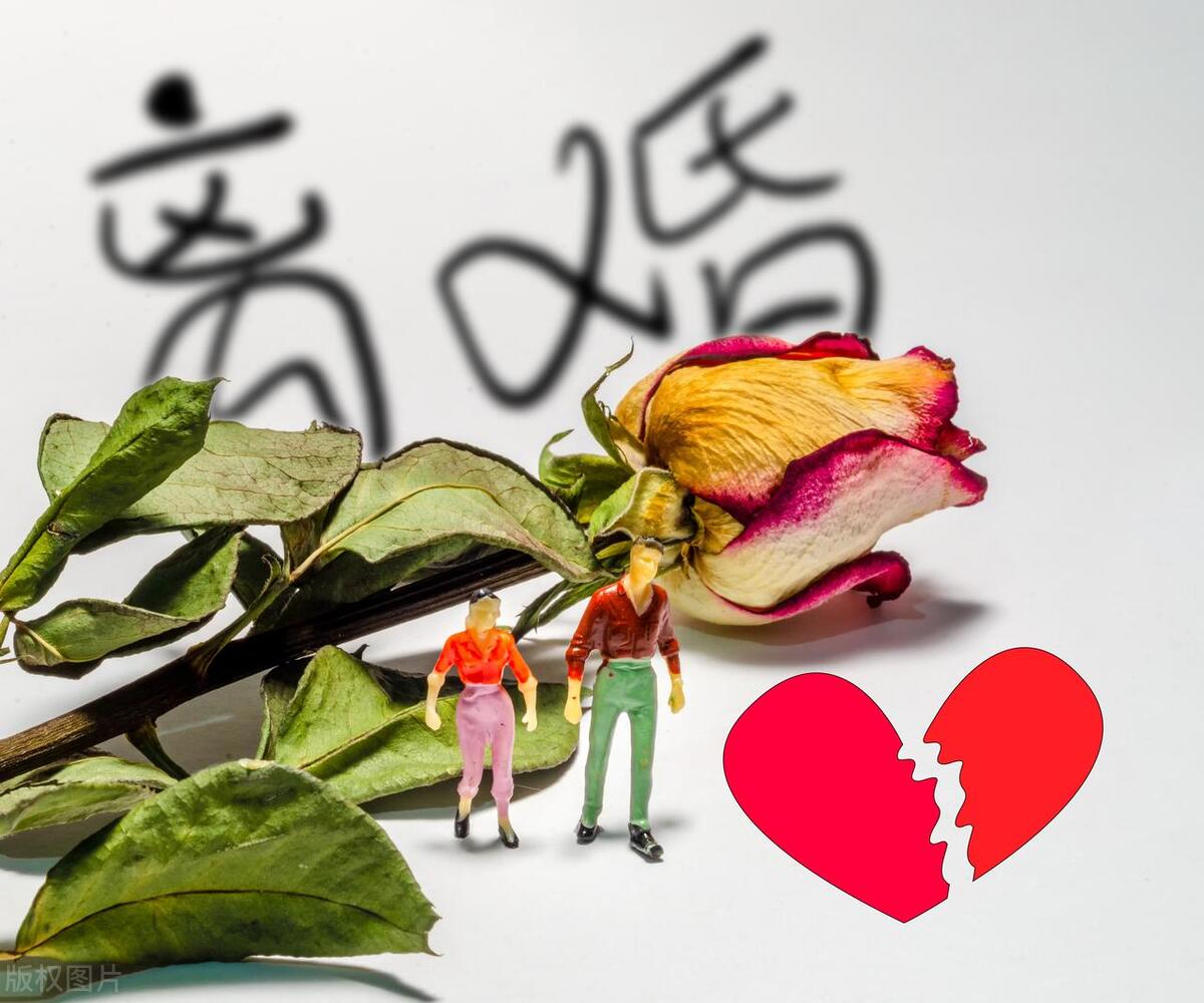 婆婆为了抢风头，逼我在女儿婚礼上穿绿衣服！我用一件东西搞定她