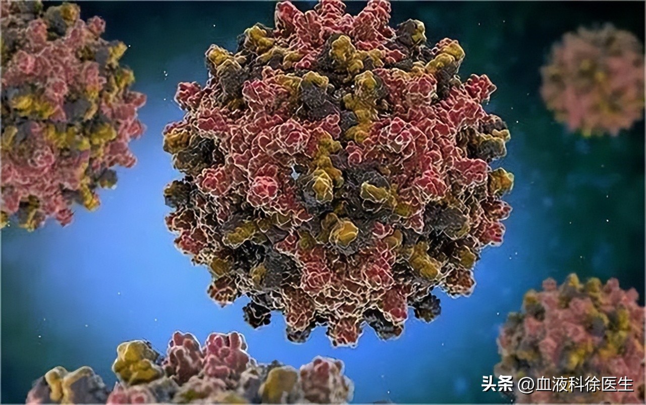 治乙肝恩替卡韦好还是替诺福韦好,恩替卡韦治乙肝原理