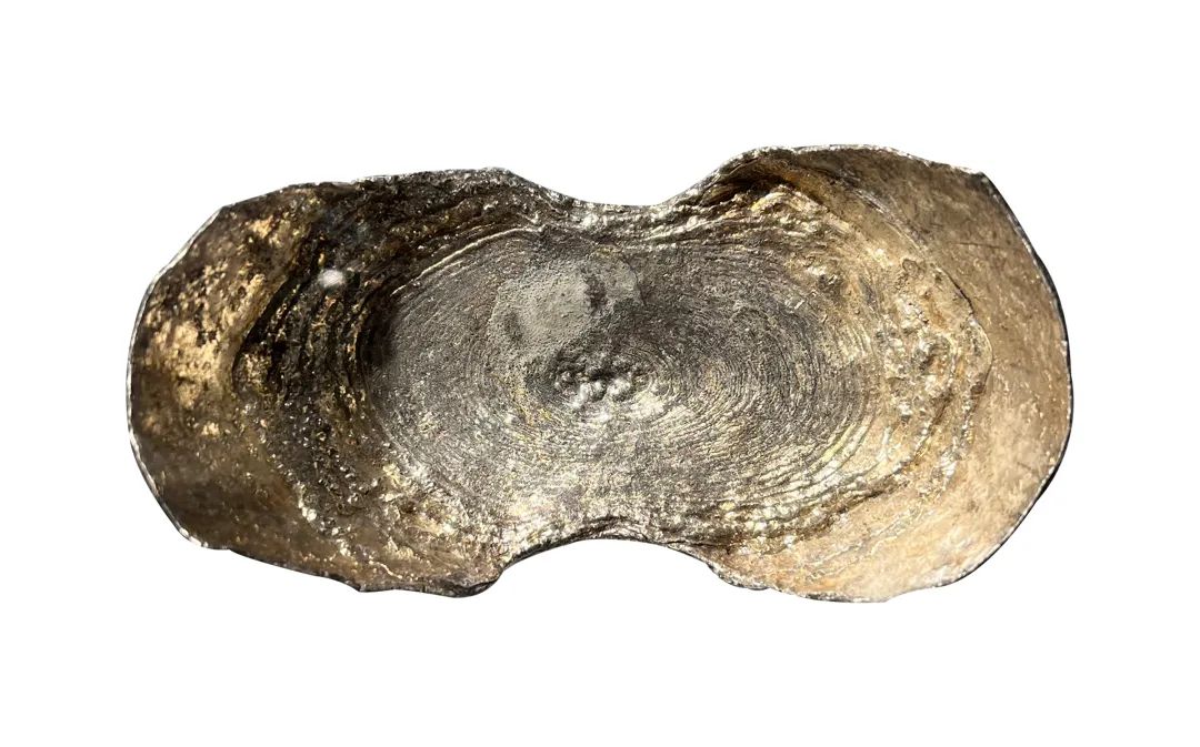 古钱币拍卖专场,2016年古钱币拍卖信息