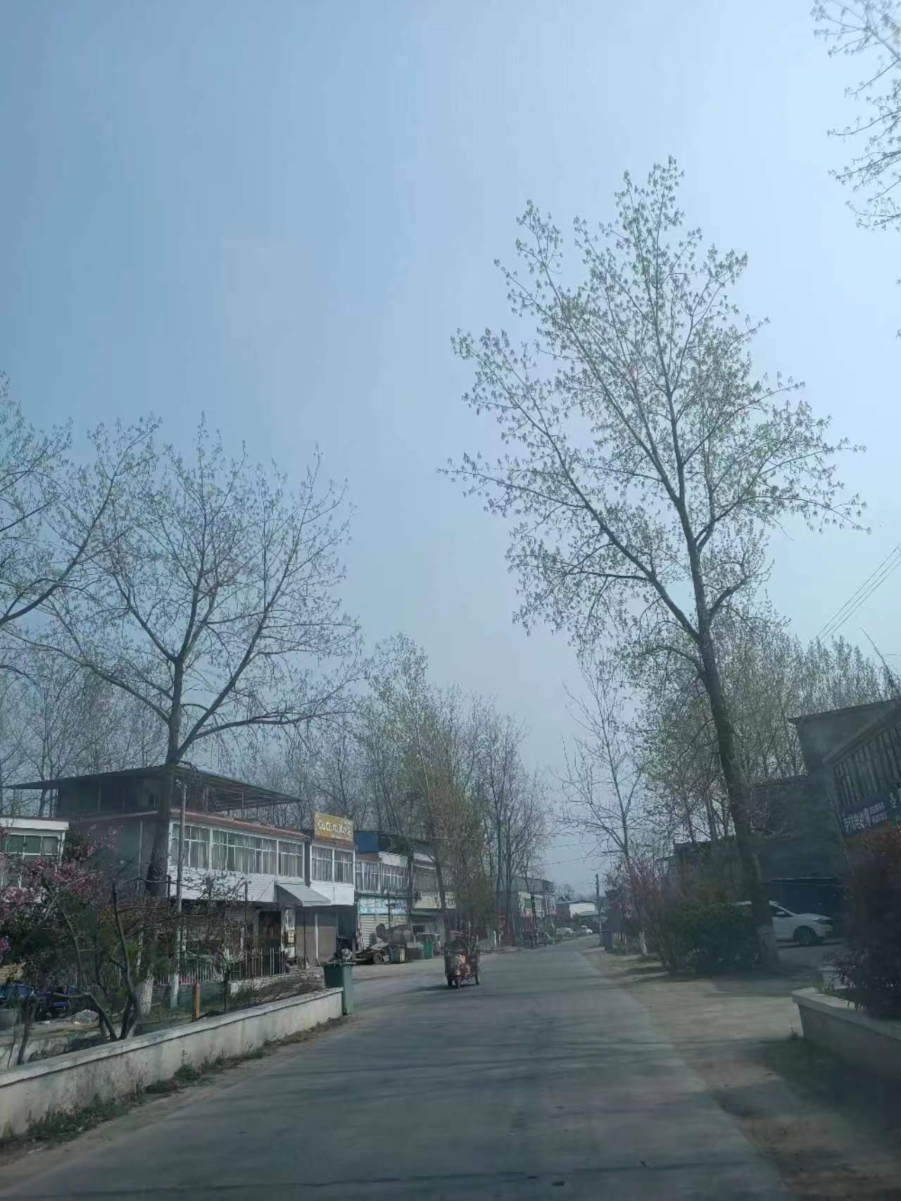 人烟繁盛的豫东南新蔡县，如何有个“野里”？