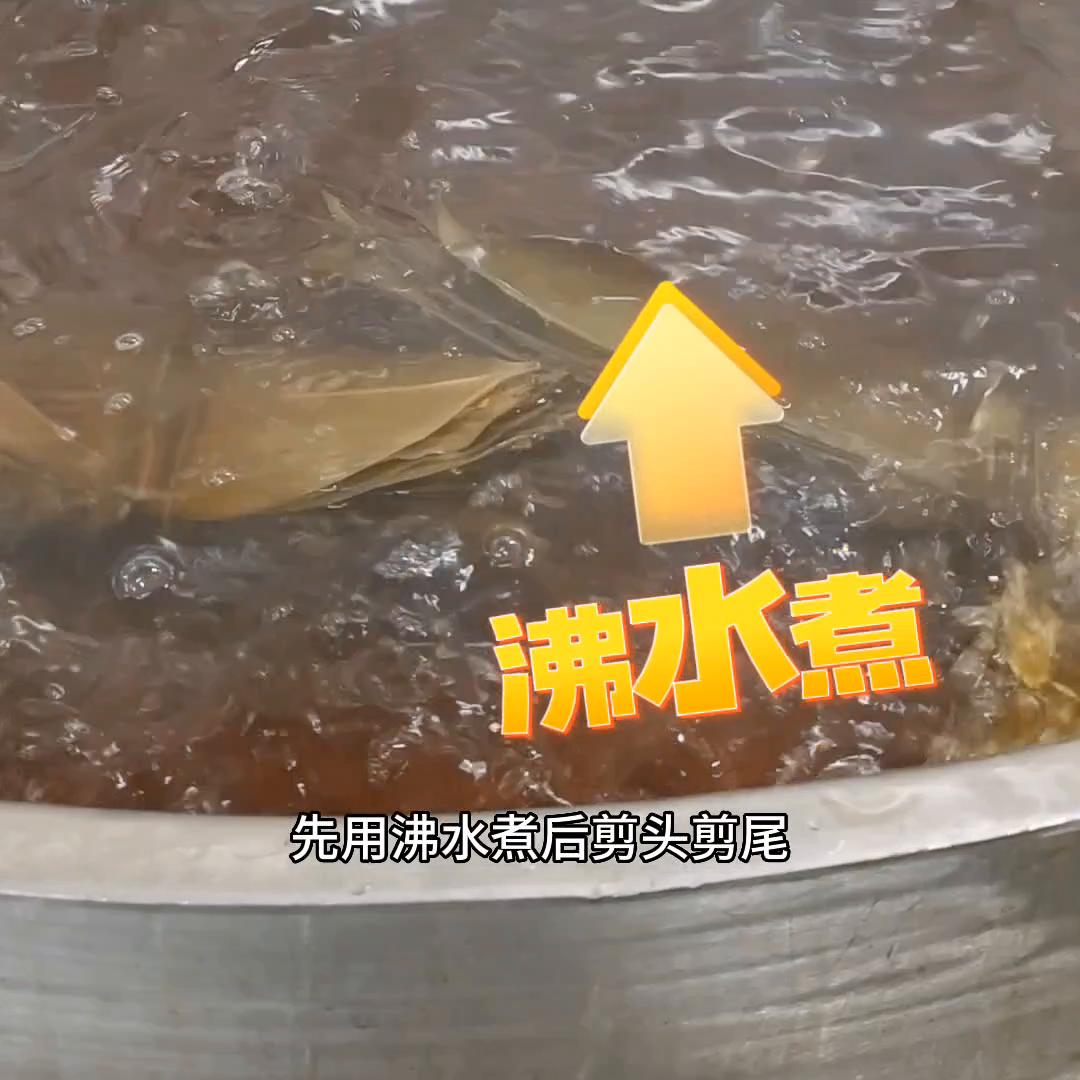 跟着主播探会场,带大家来探厂