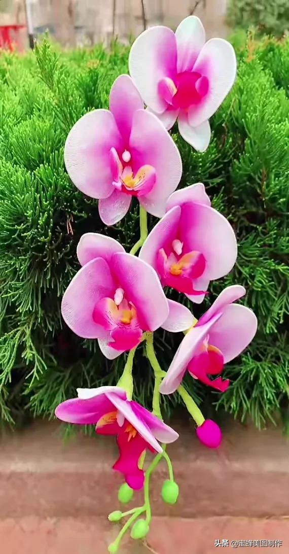 高手在民间根雕做得栩栩如生,看起来很牛逼的手工制作