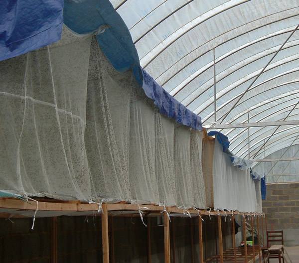 怎样彻底除苍蝇和蛆呢,苍蝇到底有多烦人