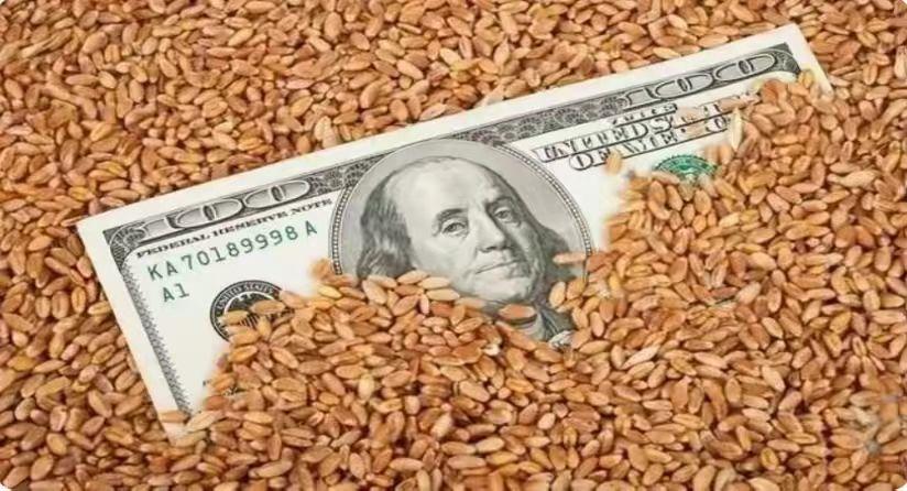 美国控制全球粮食价格的原因,美国控制粮食价格吗