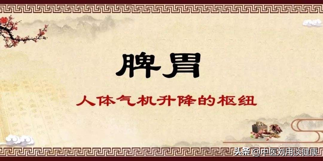 脾胃是长寿的根本！2个经典食疗方，健脾祛湿、滋阴润脾
