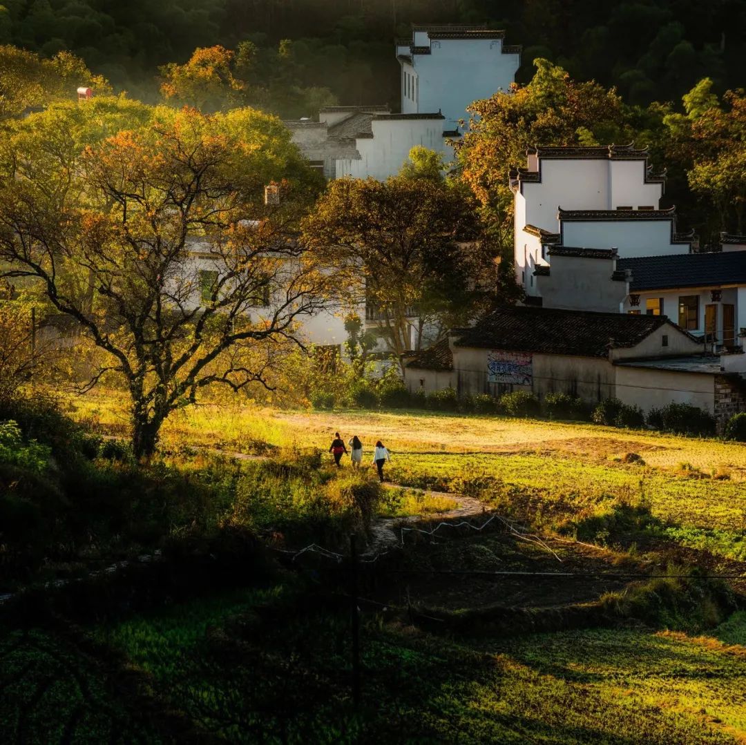 宏村小众景区,宏村山野小院
