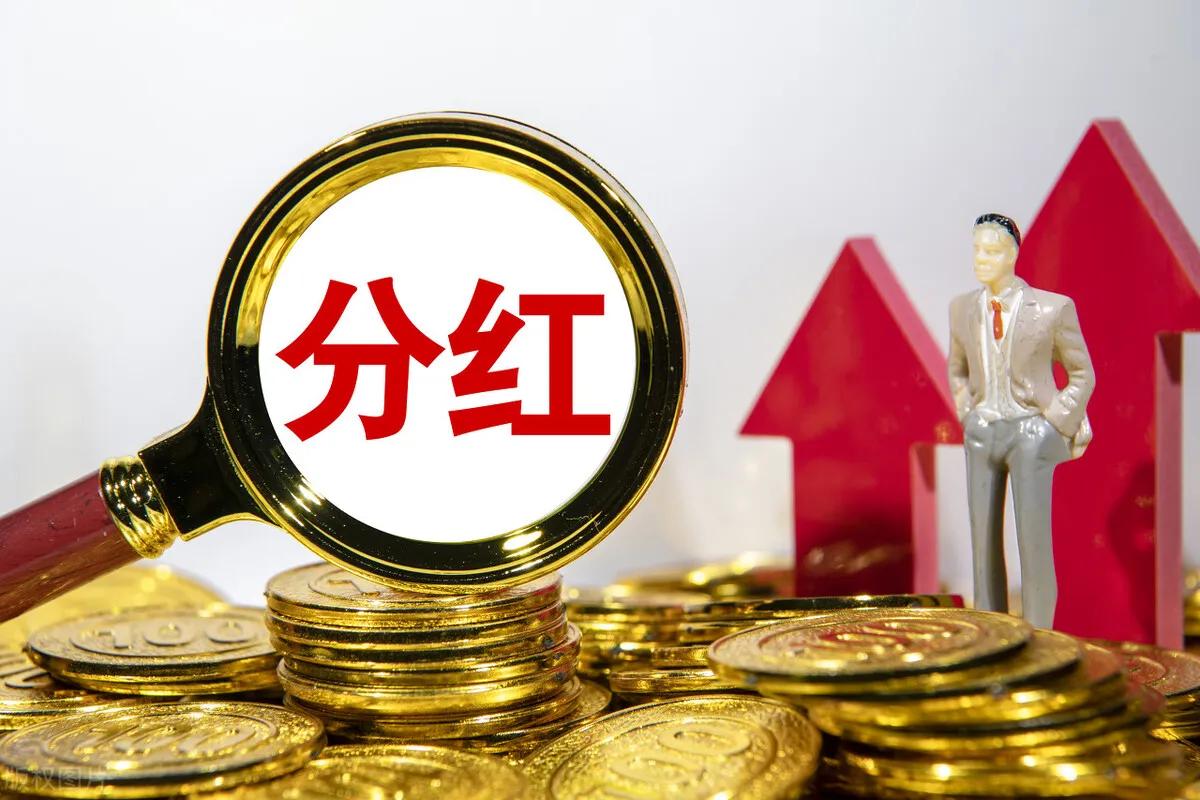 理财的现金分红和红利投资,年收益7%的稳健投资