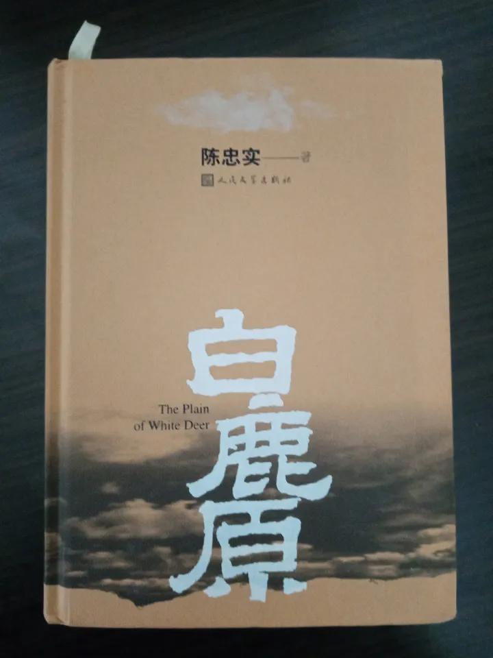 2023年排名前十的书籍,2024年热门书籍推荐