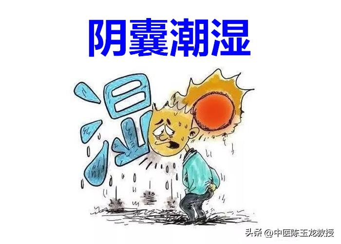 阴囊潮湿能力下降？送你一方清热燥湿，赶走潮热，还你健康本色