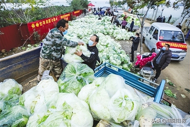 助农增收农产品进货渠道,农产品助销渠道
