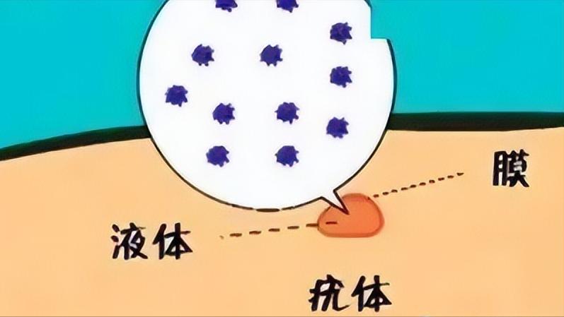 hpv6阳性但是没有疣体需要治疗吗,hpv6阳性没有疣体正常吗