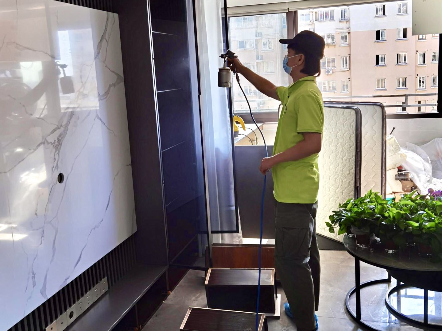 用什么去除墙上的甲醛污染味道,放室内去除甲醛最好的植物