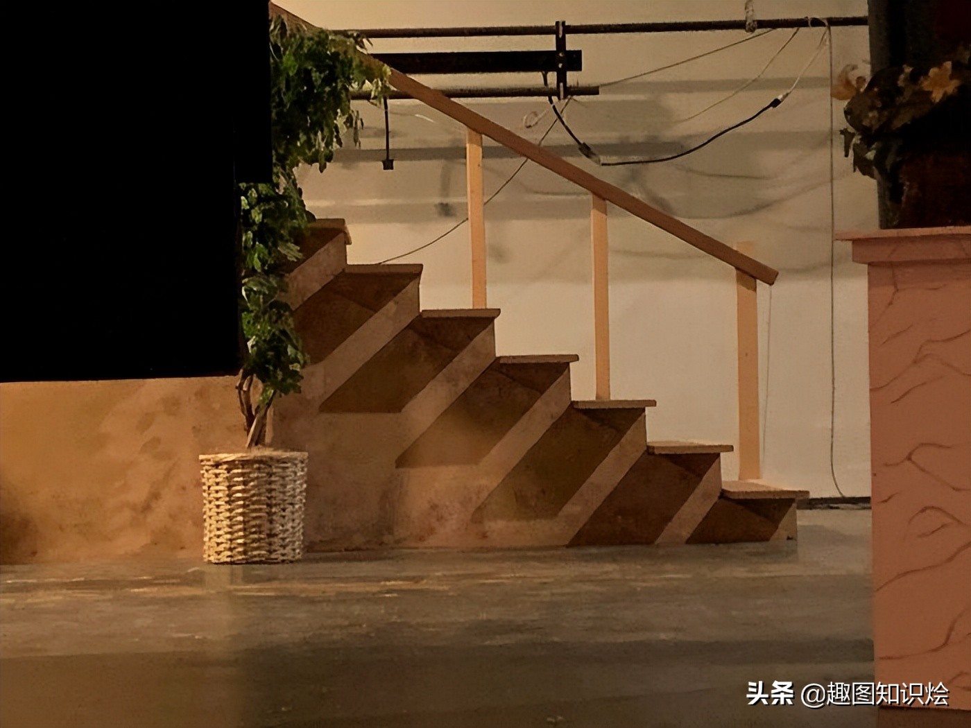 31张活久见的有趣图片,鳄鱼电鳗同归于尽渔翁得利