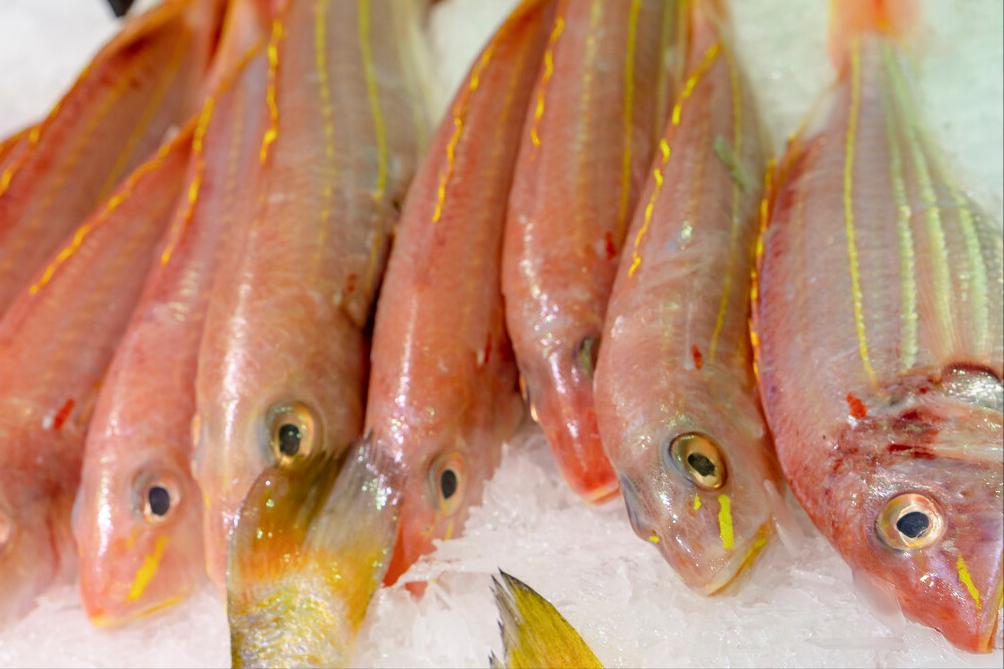 浼戞笖鏈熷彲閽撶殑娴烽奔鍝佺,浼戞笖鍚庡父瑙佺殑娴烽奔