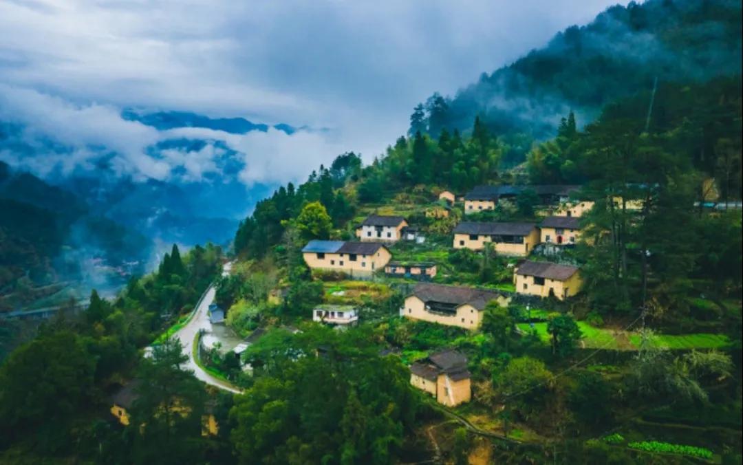 小小梦魇想讲什么,小小梦魇说了什么