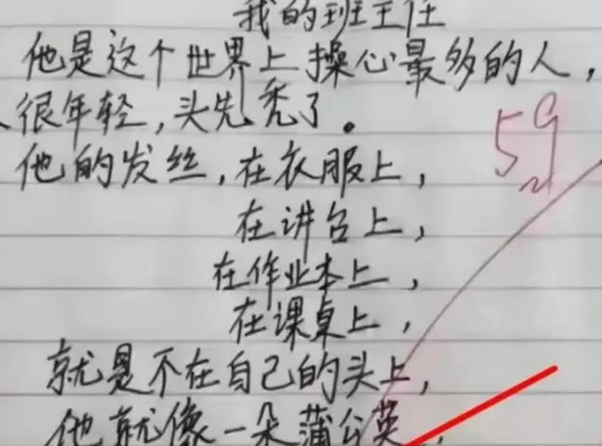 我的小姨的作文400字,三年级我的小姨作文450字
