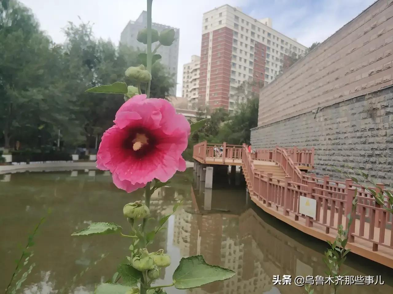 乌鲁木齐2020年十大公园,乌鲁木齐公园数量