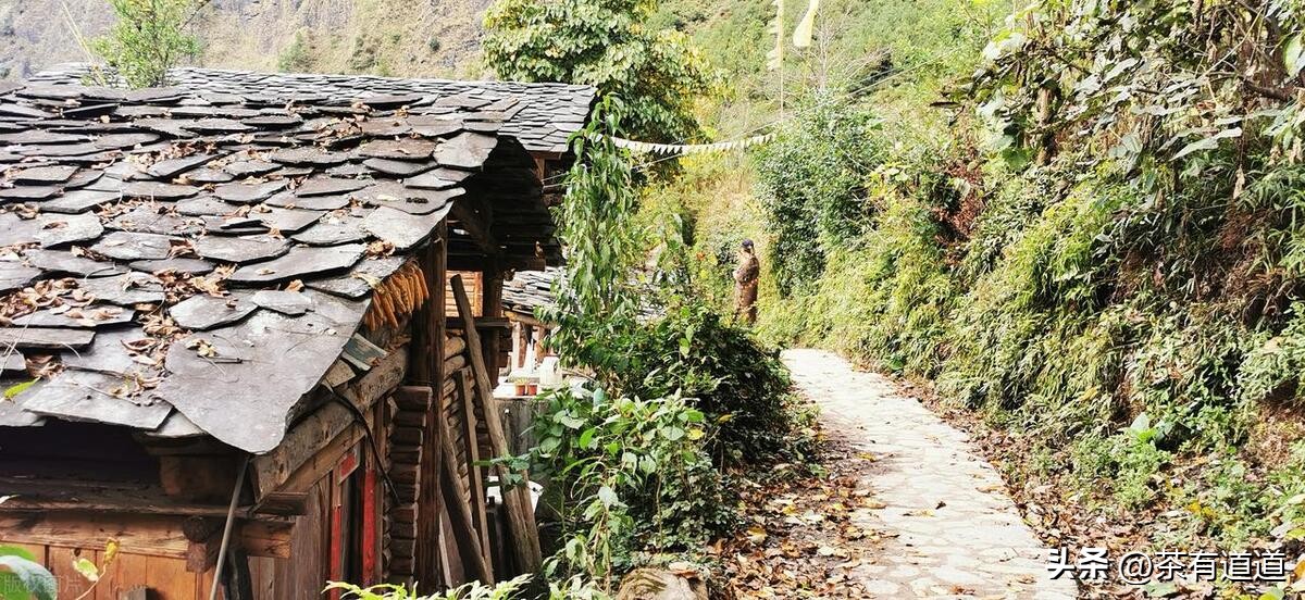 进入怒江雾村必走的茶马古道,怒江大峡谷茶马古道雾里村