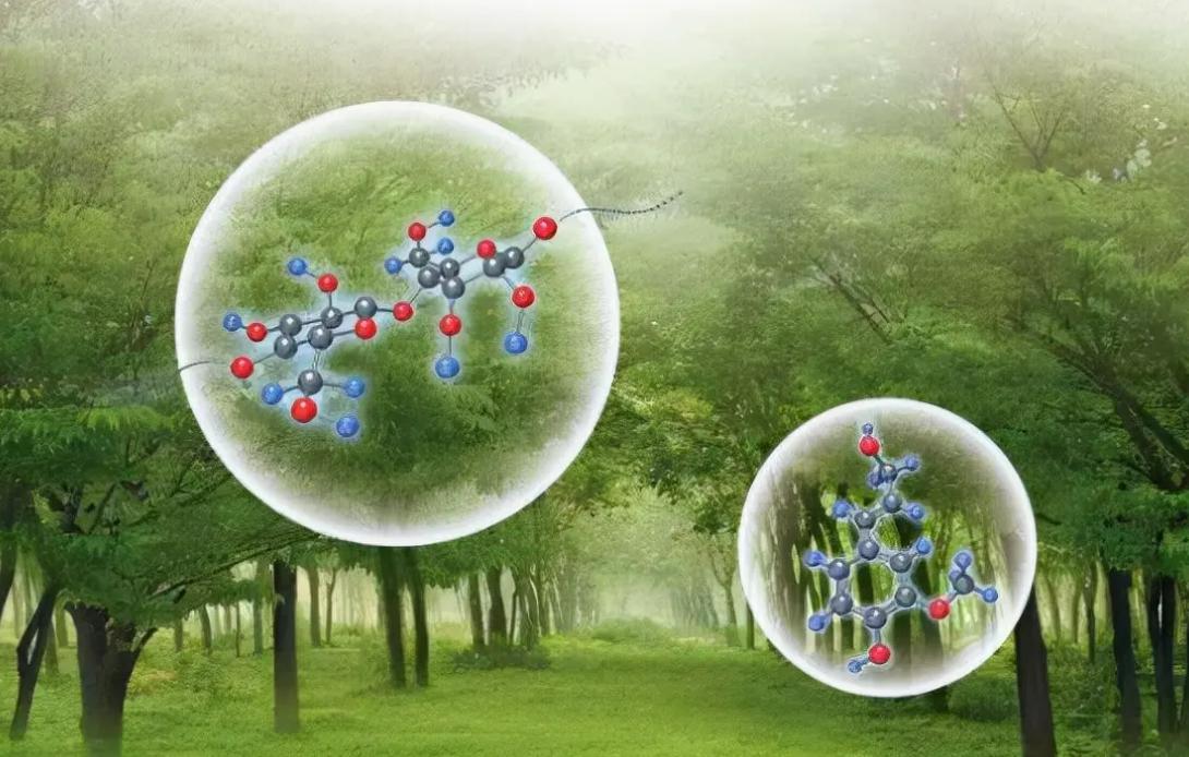 碳基生命与硅基生命对比视频,从碳基生命到硅基生命时间表