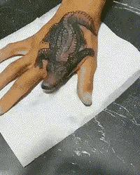 这就是李某和李女士的区别，现在连“马赛克”都开始区分颜值了