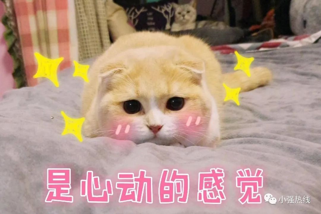 月薪8000元保底！佛山19岁小伙入职高薪工作，结果却背债15万！记者暗访发现大型打脸现场...