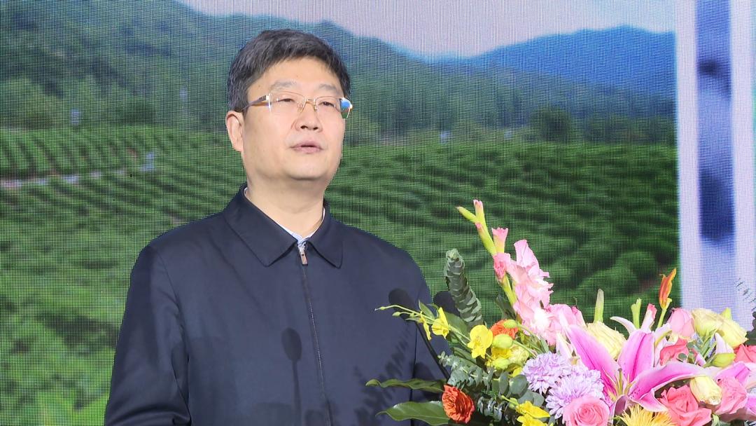 祁门红茶世界三大高香茶之一,祁门工夫红茶世界三大高香茶之首