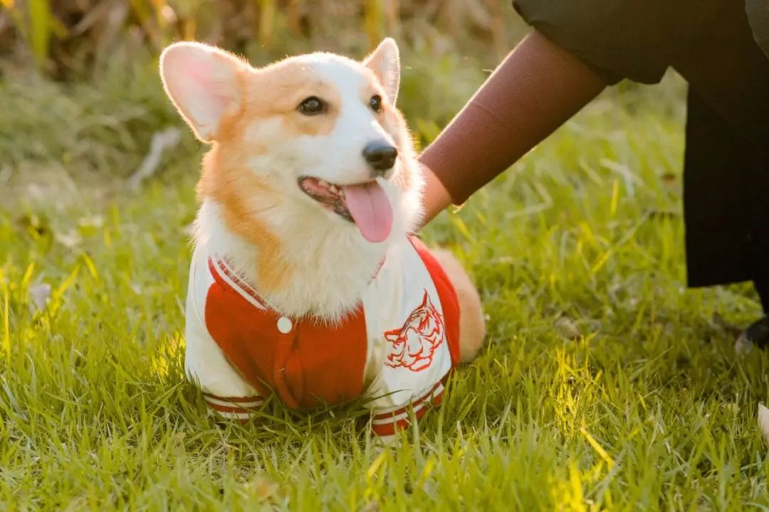 被忽视的小本生意,被人忽视的创业项目