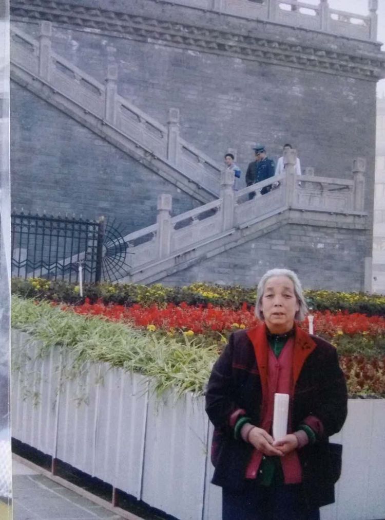 名句谁言寸草心报得三春晖,古诗谁言寸草心报得三春晖解释