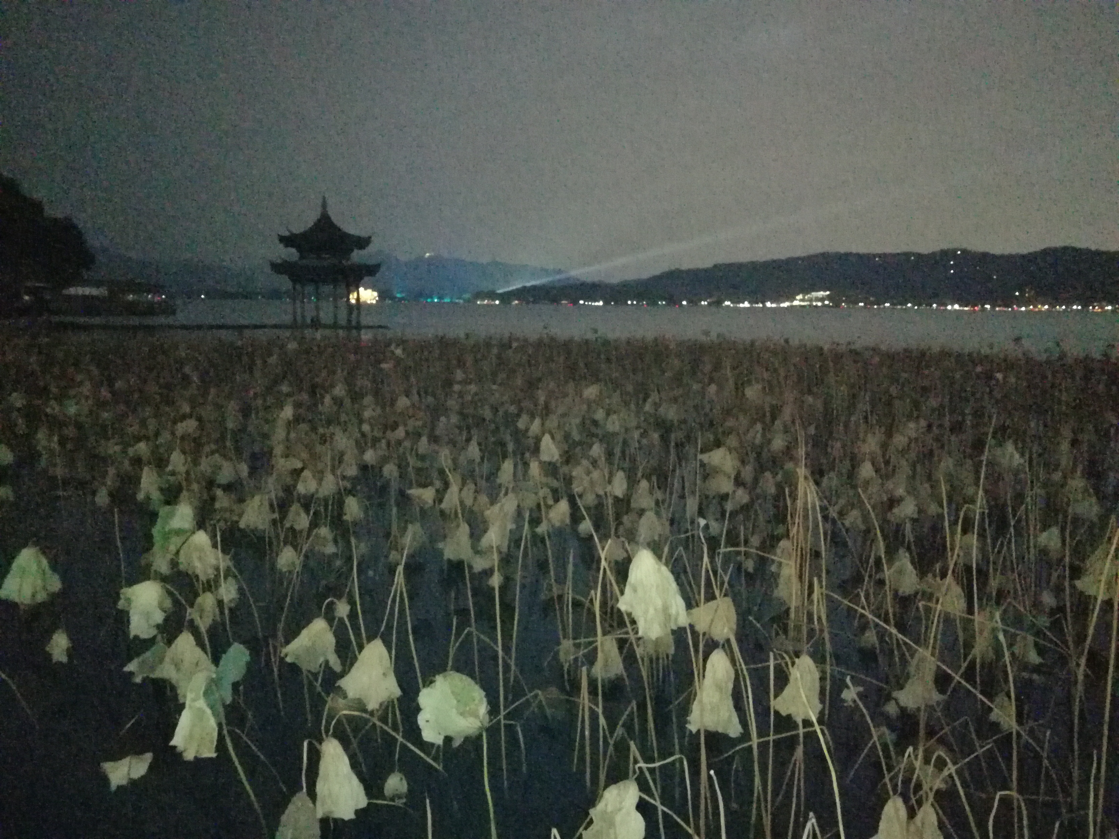 西湖印象股份有限公司,西湖印象张靓颖