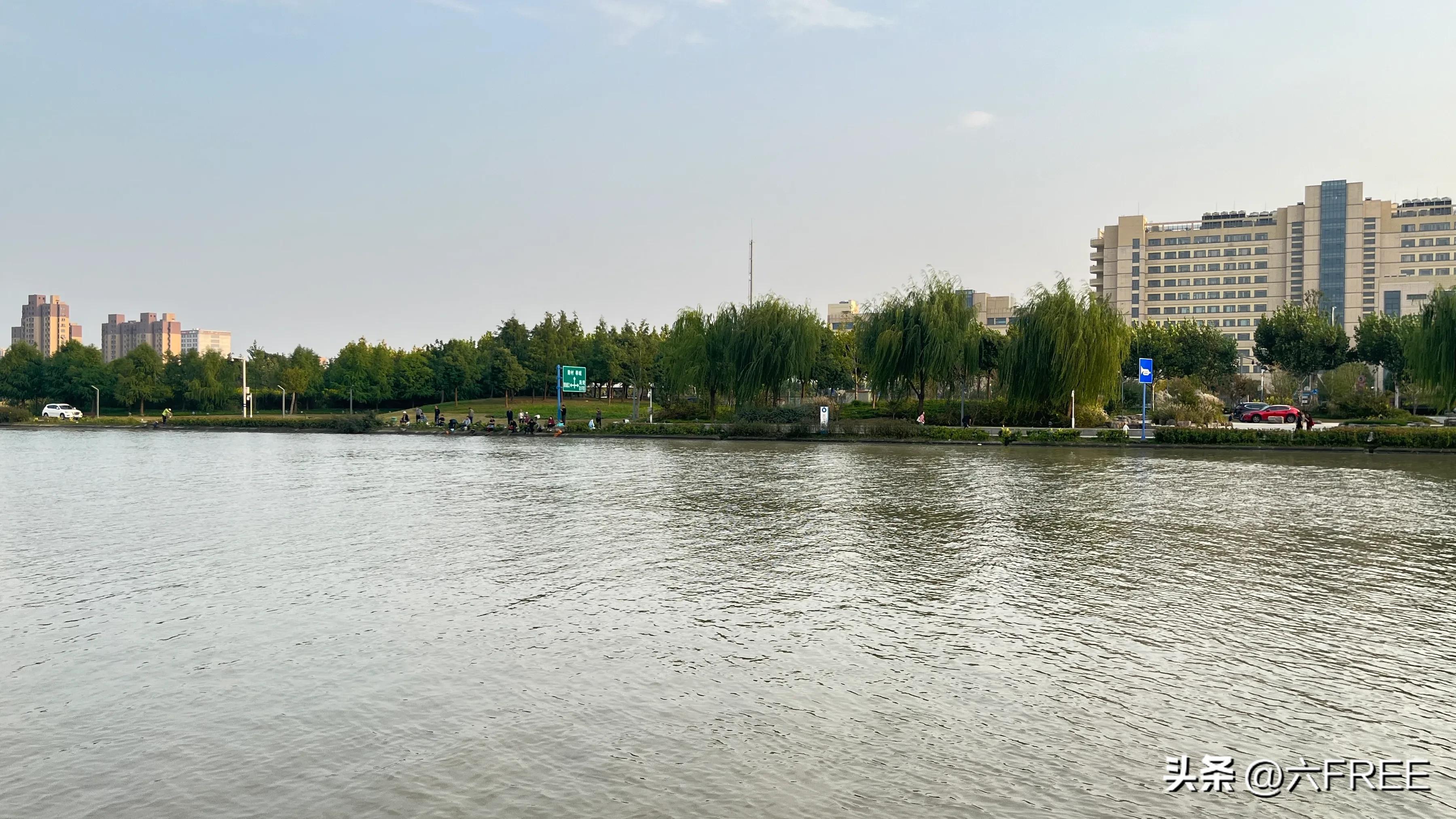 上海之鱼好玩不,上海之鱼公园游玩攻略