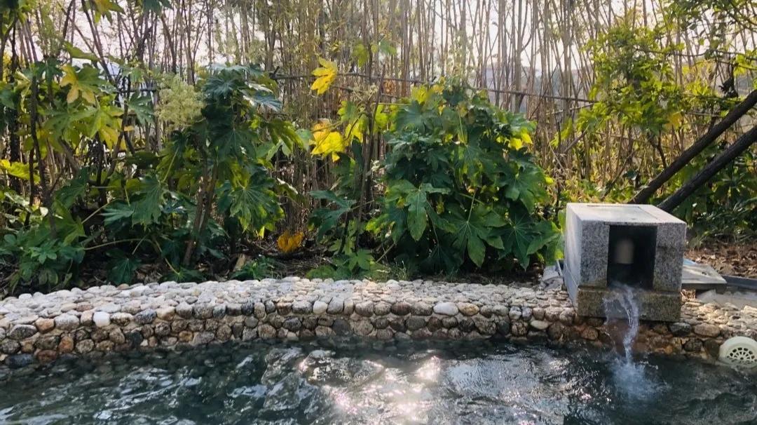 荆门周边温泉度假村排名,荆门温泉度假村