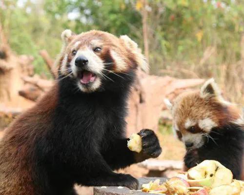最被低估的大城市,被低估的普洱