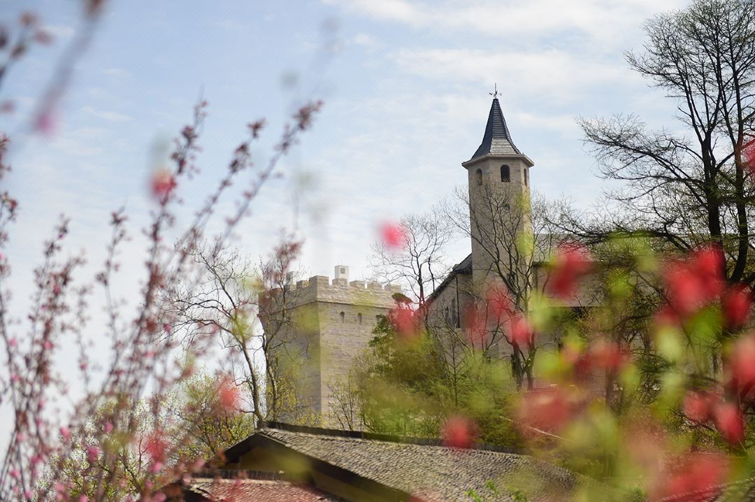 遇间播报|莫干山必睡六大美宿!看山看水看云看日出,优哉游哉~