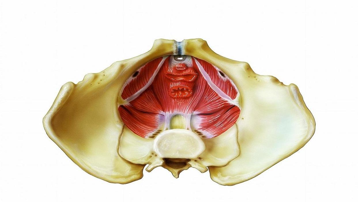 每天洗肛门最好的方法,清洗肛门有什么方法吗