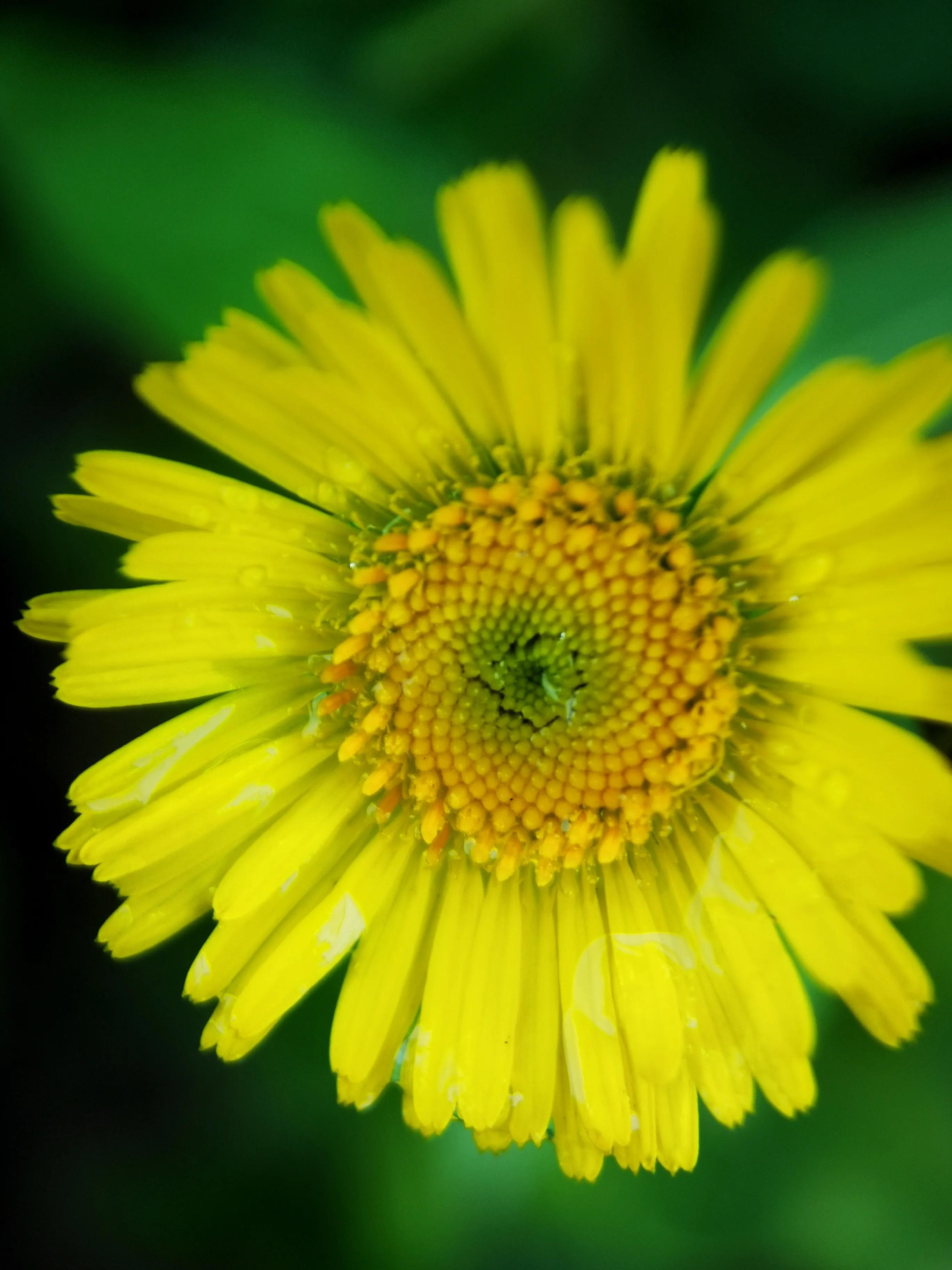 手机摄影专业模式各种场景参数,手机摄影的优势及拍摄题材
