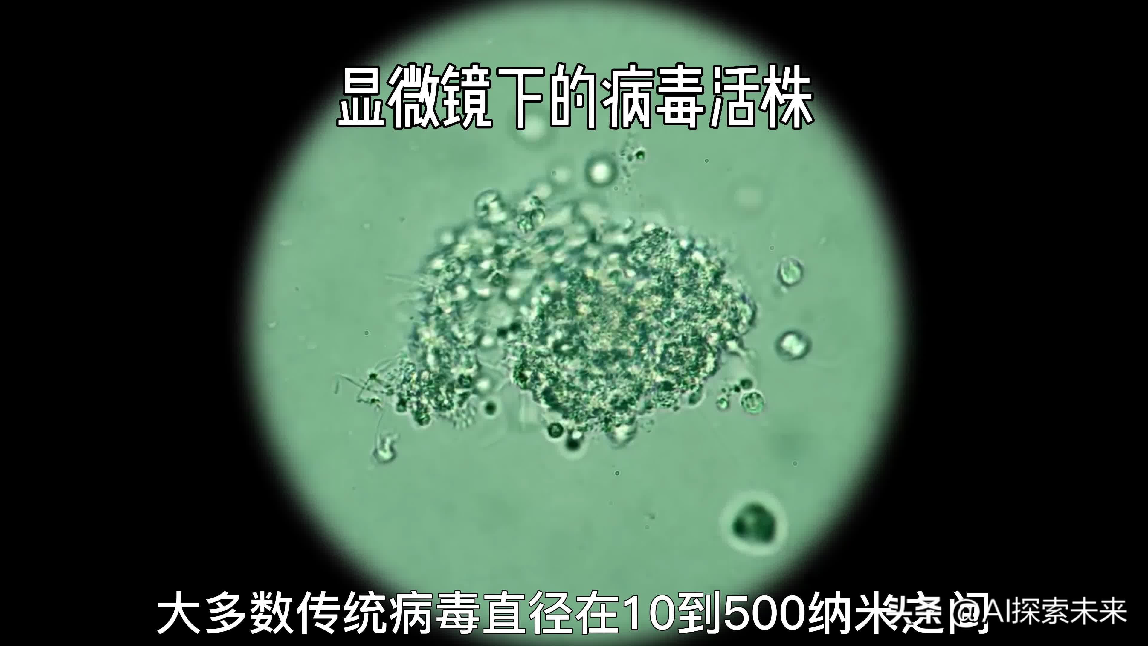 潘多拉病毒是怎么形成的,潘多拉病毒是几年前灭绝的