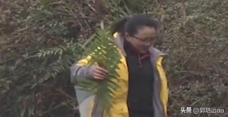 一小伙卖树叶一天挣12000,贵州女子巧用树叶赚大钱